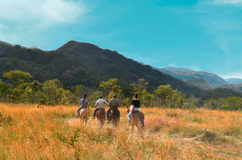 Horseback Riding