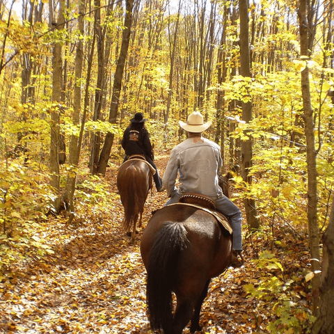 Horseback Riding