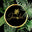 Jaco Luxe logo
