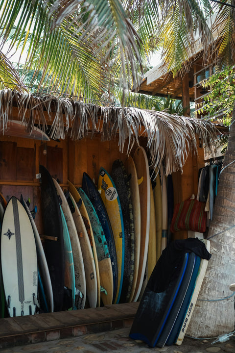 Surf Lessons