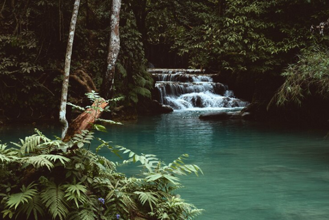 Costa Rica Waterfall Tours